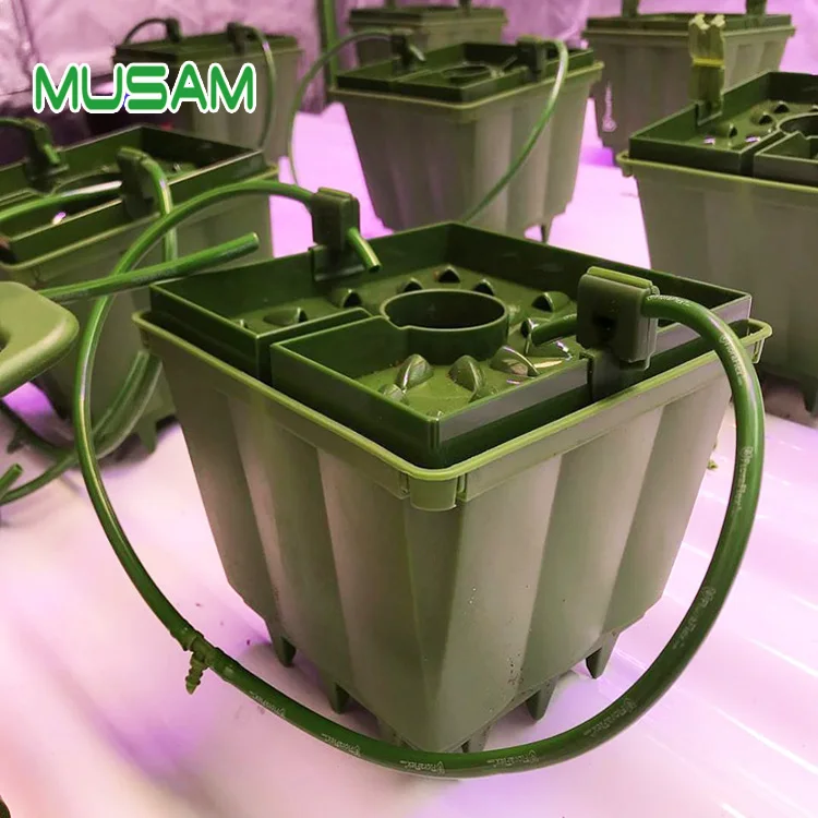 

Hydroponic Grow Substrate Pots Growing Pot For Flood Table, Green