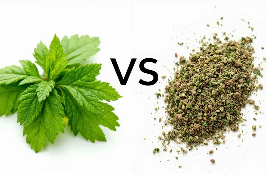 Regular Oregano Sprinkled Over Pizza
