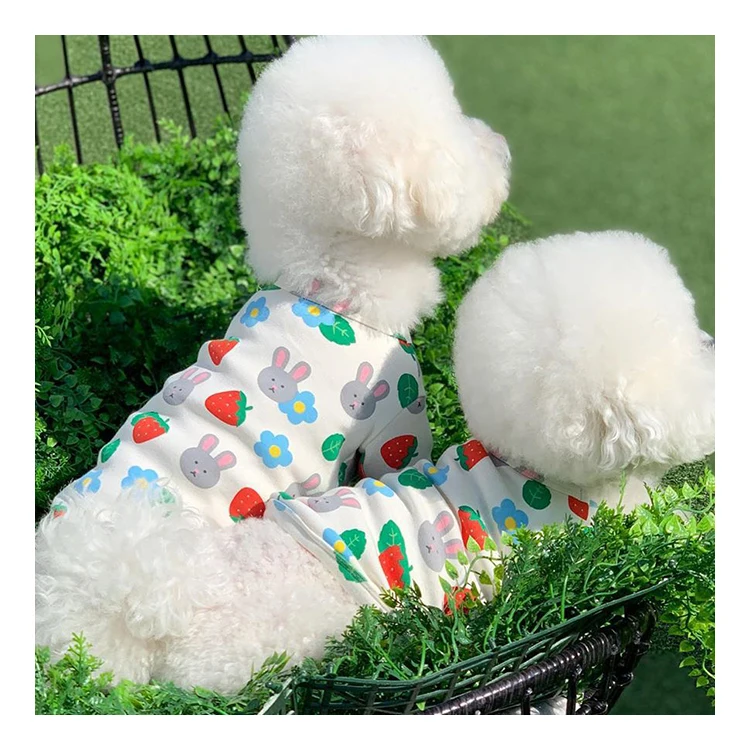 

INS new Korean cute autumn winter rabbit pet vest warm dog pet clothes