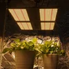 Widely used 480w led quantum samsung lm281B 660nm for commercial greenhouse
