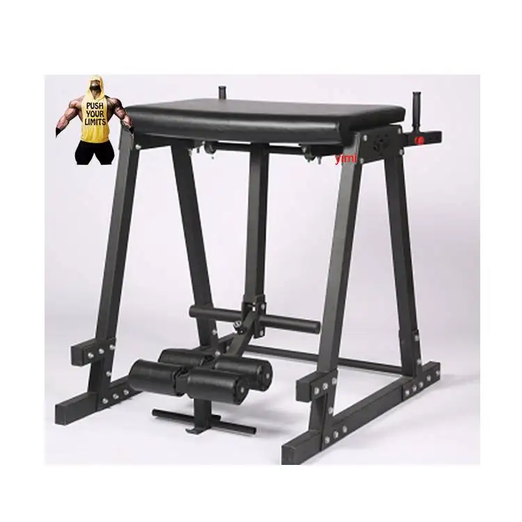 

Door To Door Delivery Cheaper Hot Sales Leg Extension Machine Reverse Hyper, Black