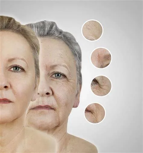 
Wuhan HHD NMN Powder Supply High Quality 99% Anti Age Anti Cancer Factory Supply Fast Dilivery Best Price 