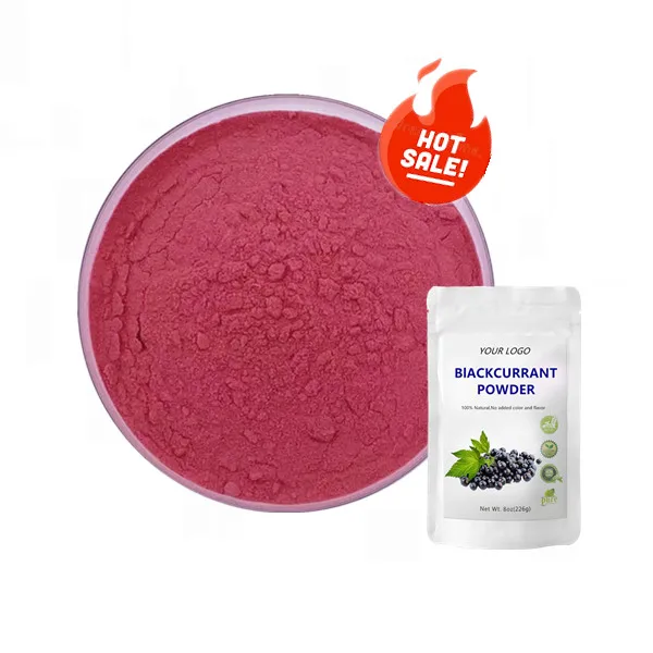 

Hot Sale Customizable Package For Superfood Blackcurrant Fruit Juice Powder
