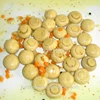 Canned Agaricus Bisporus button mushroom