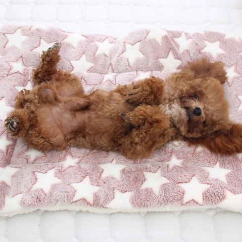 

Flannel Thickened Pet Soft Fleece Pad Pet Blanket Bed Mat For Puppy Dog Cat Sofa Cushion Home Rug Warm Sleeping Cover Mat, As picture