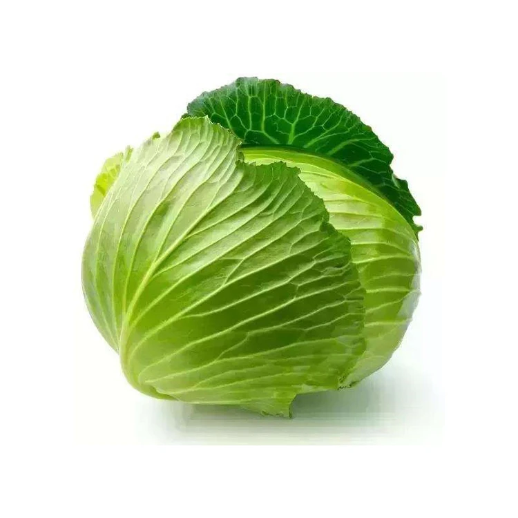 
2020 Chinese asian Fresh delicious green cabbage distributor 