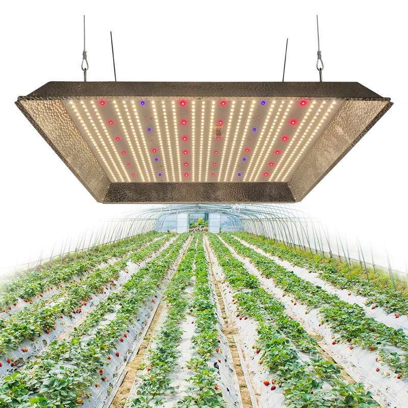 Redfarm high PPFD 320w 330w quantum led grow lights with reflector UV ir full spectrum 3 channel dimming with Meanwell driver