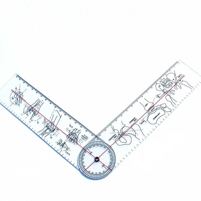 Règle orthopédique 15 cm Goniomètre Angle Règle médicale Joint Orthopédie Outil Instruments Rapporteur 