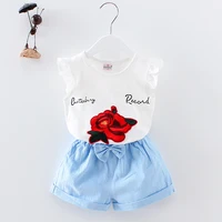 

The butterfly sleeves children clothes T-shirt baju anak girls clothing set