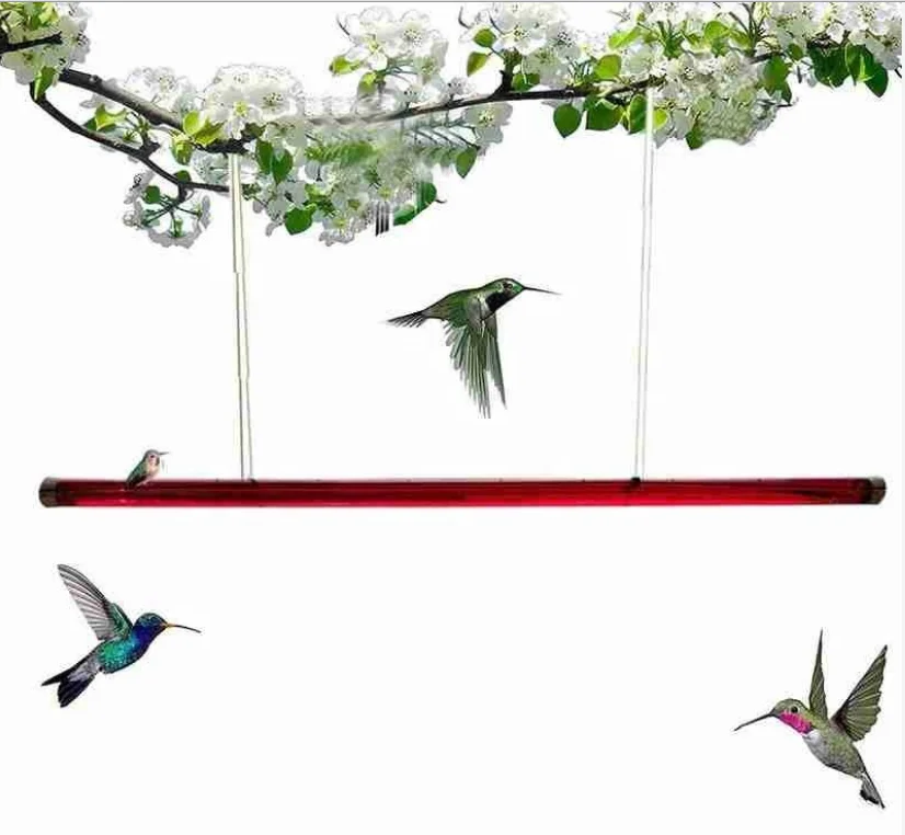 

Hummingbird Feeder With Hole Feeding Pipes Birds Easy To Use Red Hanging Long Tube Bird Feeder