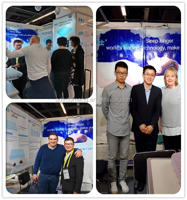 Frankf TPE pillow mattress.jpg