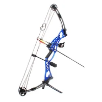 

Dropship DS-A114 Best selling quality customized colorful 40-60lbs hunting archery compound bow