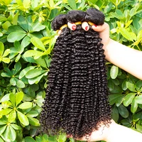 

GS Free sample wholesale virgin hair vendor mongolian kinky curly hair,100% human hair weave
