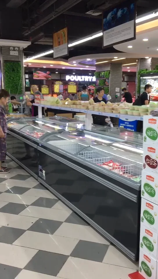 Aht Deep Chest Freezer Price Philippines Buy Deep Freezer Aht Paris