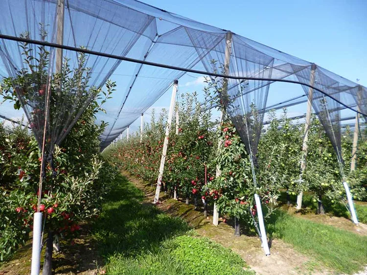 New Hdpe Material Anti Hail Protection Net With Uv / Apple Tree Anti ...