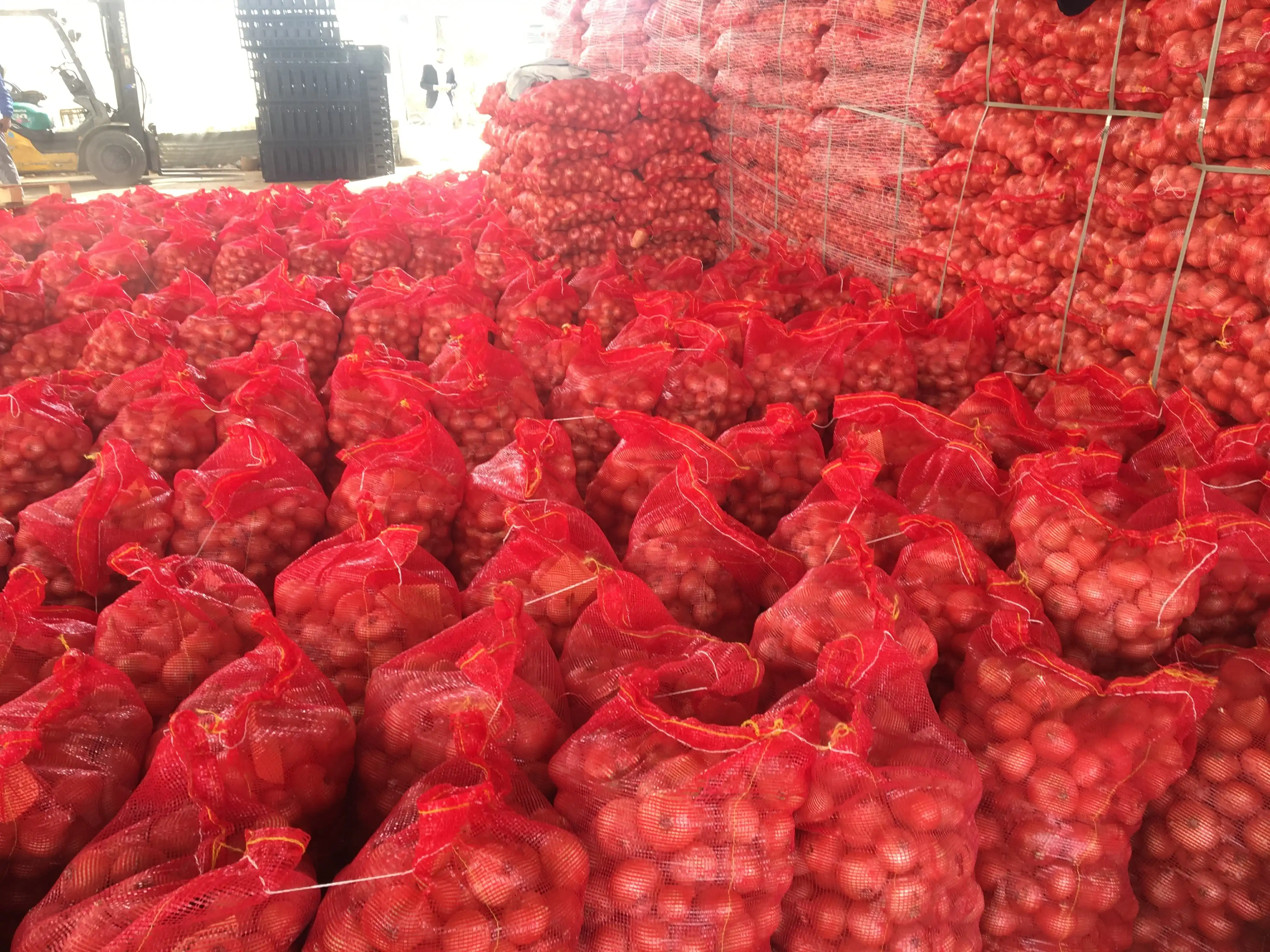
Fresh Onion In Bulk Cheap Red/Yellow Onions For Sale 