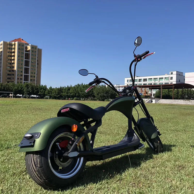 

Unique Design Cool Fat Tiry Citycoco 2000w Electric Scooter Motorcycle