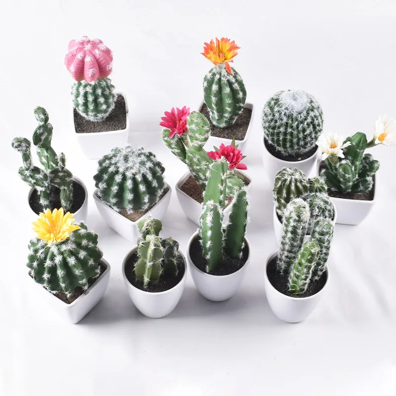 

Cheap Wholesale Lifelike Natural Cactus Bonsai Ornamental Mini Home Office Faux Plants Pot Decor Indoor Artificial Cactus Plants, Customizable