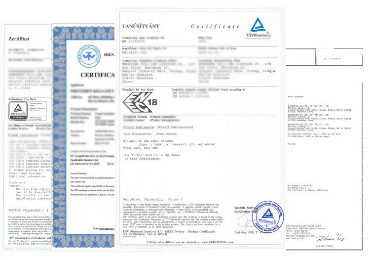 Certificate.jpg