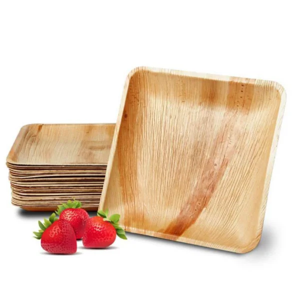 

disposable biodegradable areca palm leaf plates, Natural