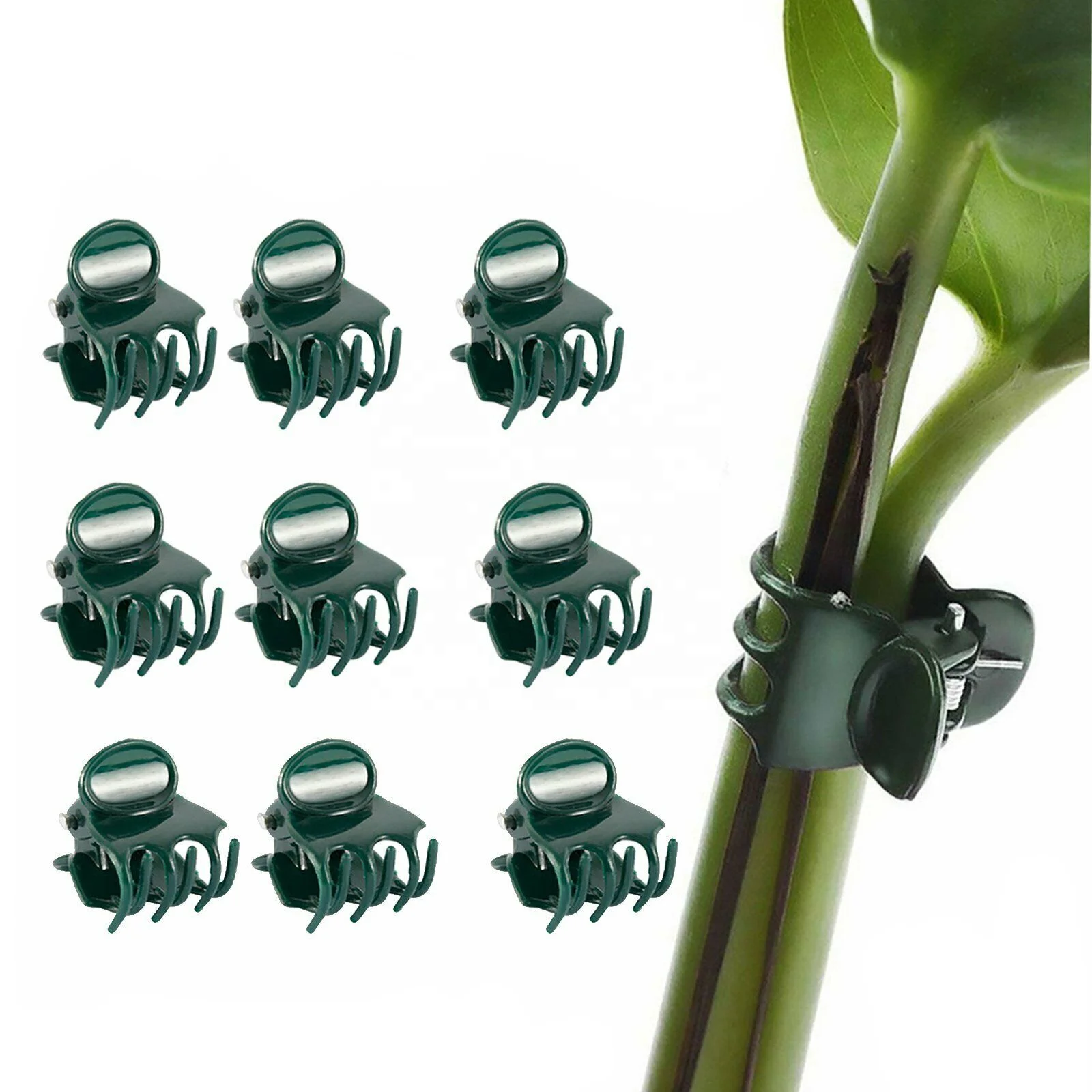 

Bag Of 100 Plant Holding Clips Orchid Clips to Support Stems Stems to Grow Vertically and Make Vegetable Plants Healthier