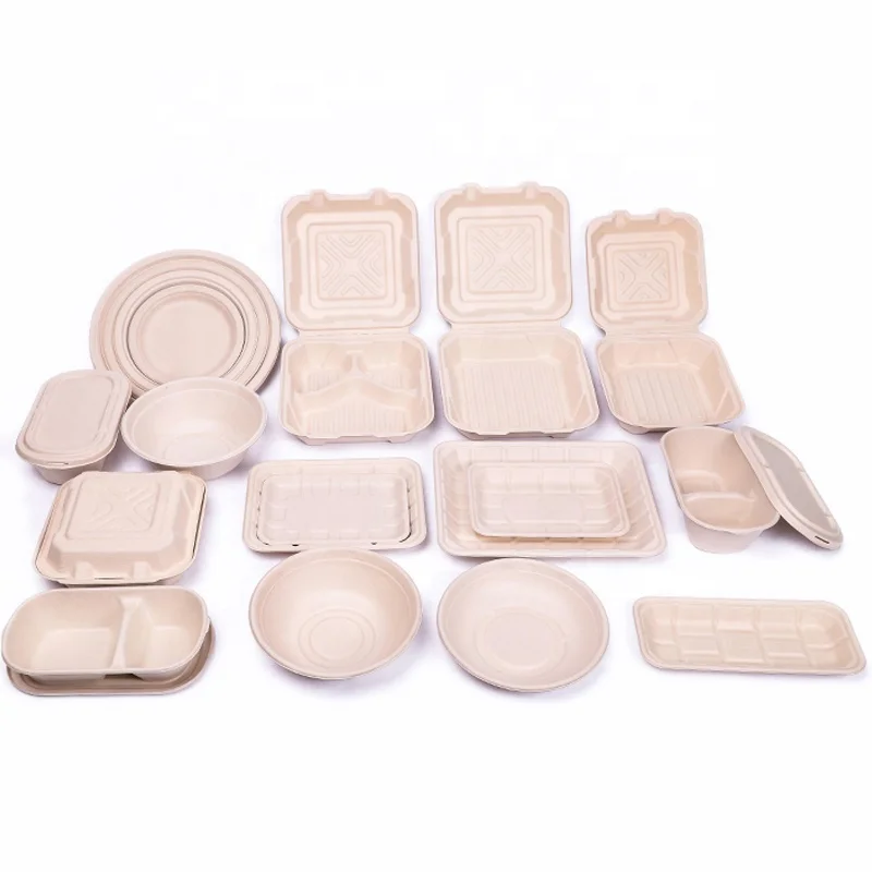 Disposable Sugarcane Bagasse 10"inch Plate