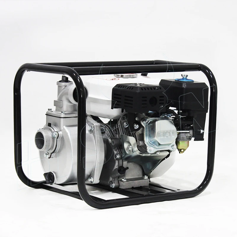 Bison(china) 20wp Petrol 2 Inch Gasoline Water Pump For Sale Buy