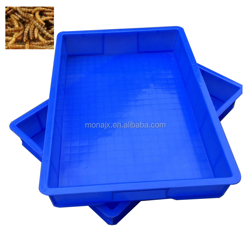Mealworm Breeding Screens And Box Buy Mealworm Breeding Mealworm