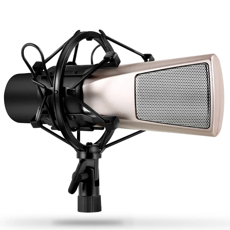 

GAM-Q6B Recording Studio Microphone Best Microphone for Karaoke Studio Microphone Recording, Champagne