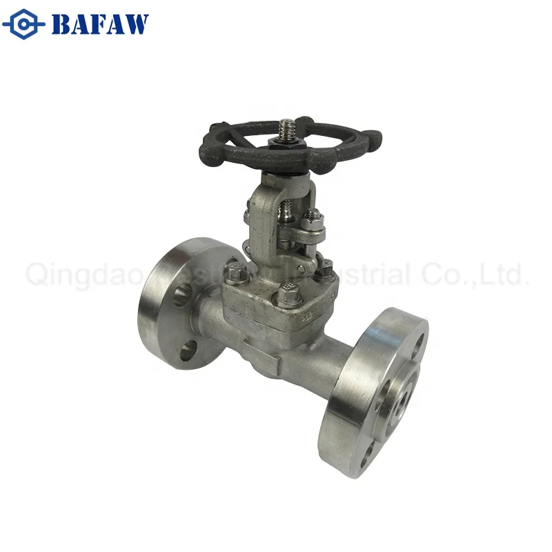 

Forged Steel A105N Socket Weld Lever Gate Valve