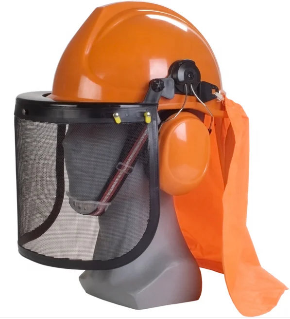 FS3001 Lumber Safety helmet with earmuffs mesh visor