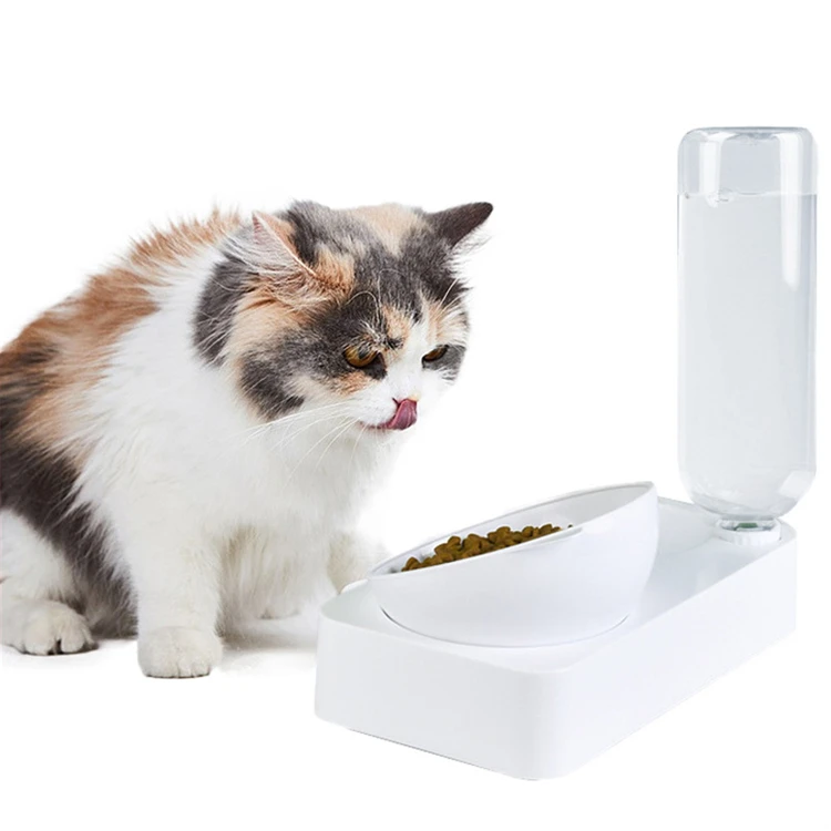 

Double Dog Cat Bowls Pet Automatic Water Dispenser Detachable Dog Glass Feeder Bowl