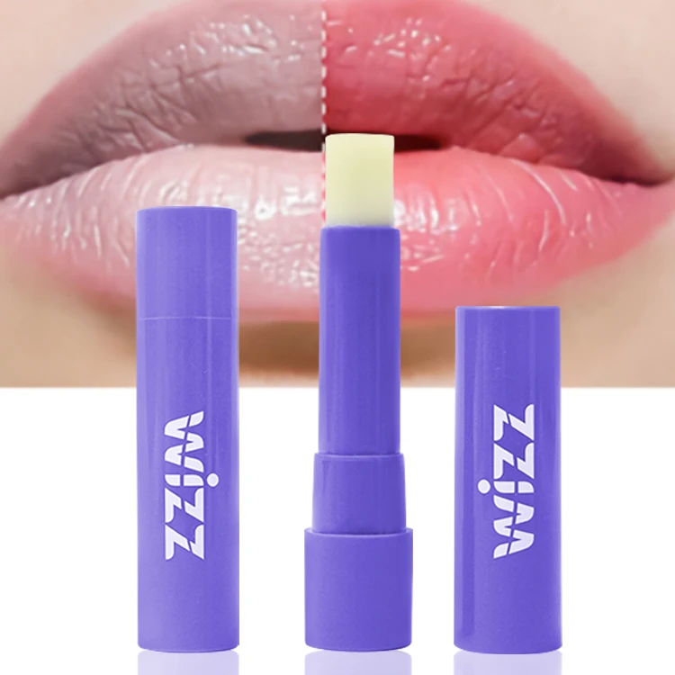 

High Quality Best Branded Lip Balm Purple Color Natural Moisture Blueberry Fruit Lip Balms