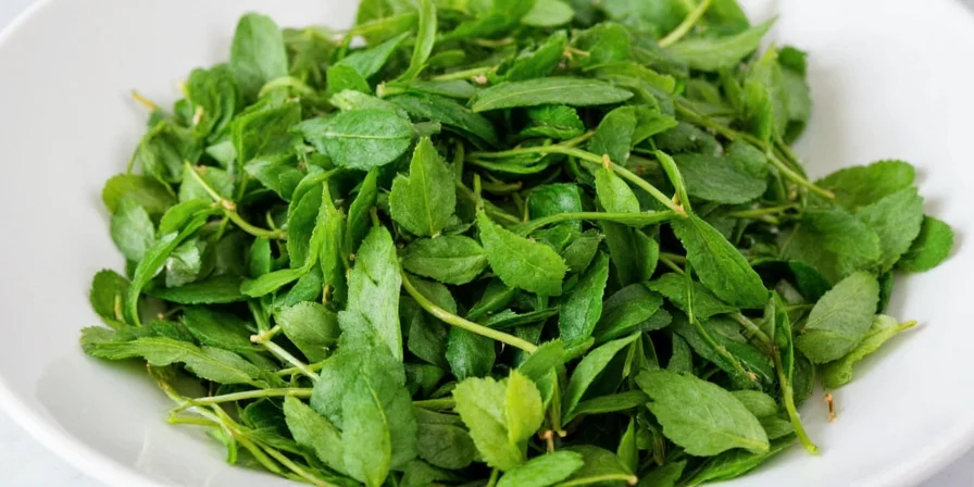 Italian oregano plant