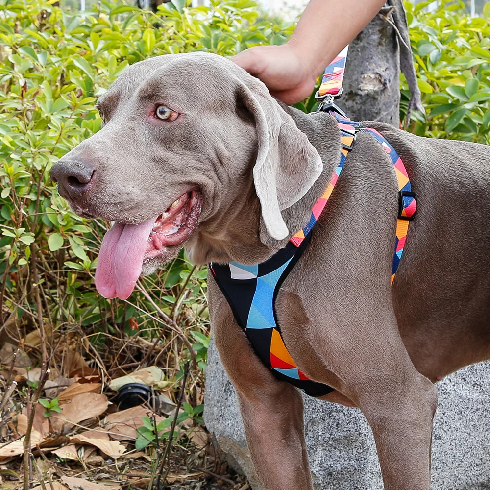 

Oxford Transfer Harness Pet Dog Harness Pitbull Harness with matching leads, 10 colors