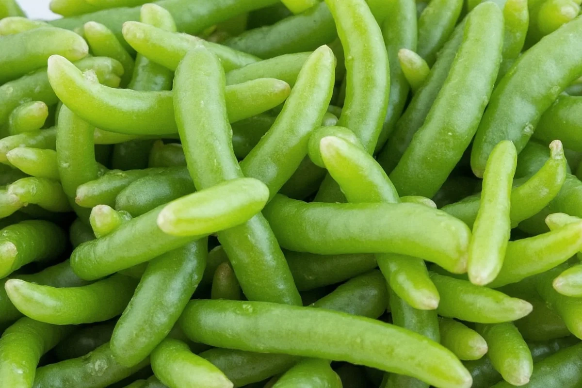 do jade plants need a lot of light