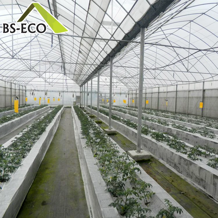 Multi Span Greenhouse 2