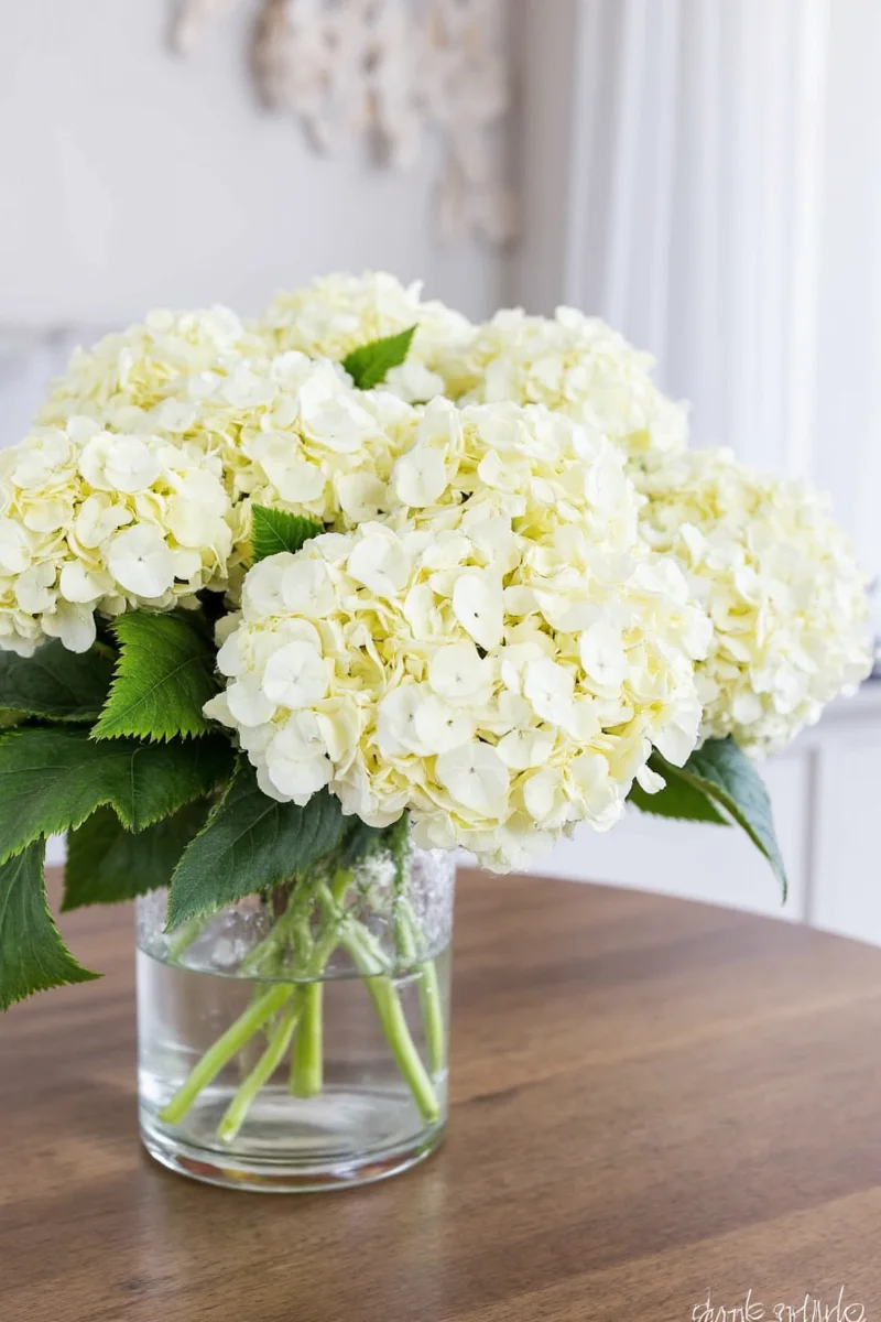 Family enjoying a living room decorated with fake hydrangeas