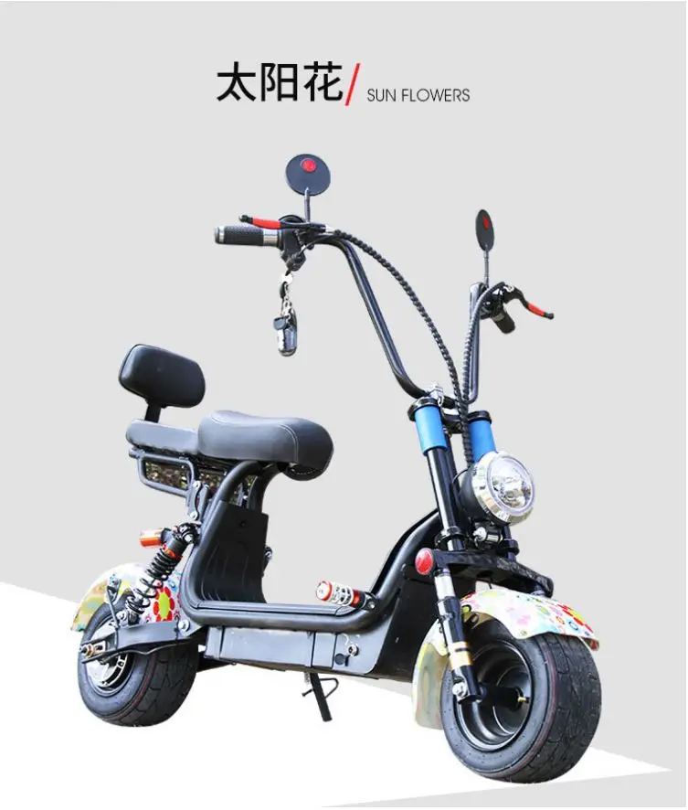

Globe Factory Electric Scooter 8000W With Lithium Battery