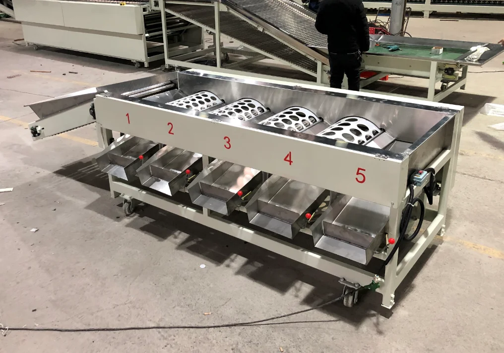 5 Grades Small Round Fruit Tomato Size Sorter Sorting Machine Price ...
