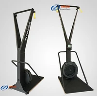 

Commercial Gym Equipment ski erg machine