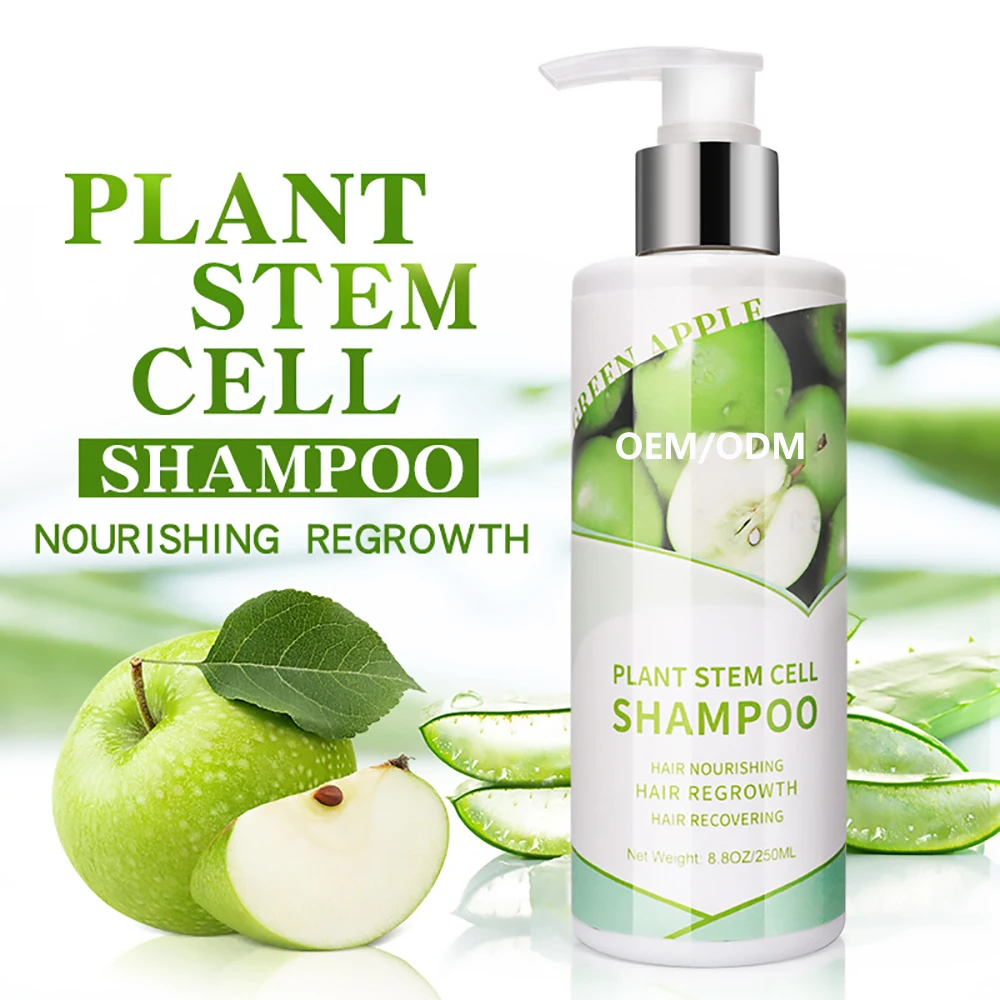 

Custom Logo Plant Stem Cell Vegan Sulfate Free Sampoo Private Label Herbal Natural Organic Argan Oil Hair Shampoo