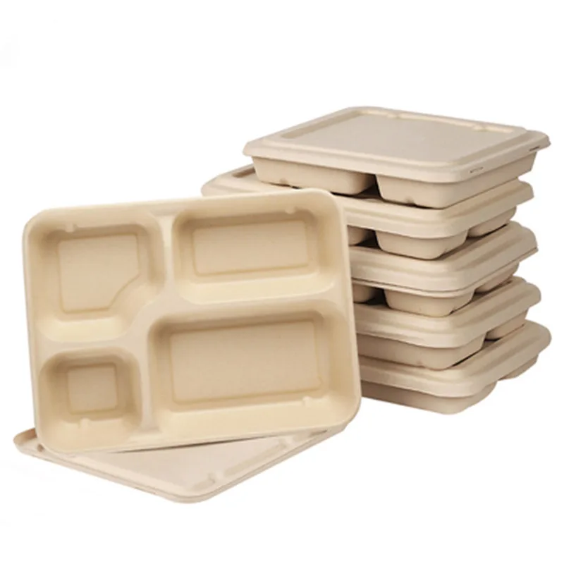 

sugarcane bagasse pulp tableware fast food plate container pizza take away meal box with lid, White and nature brown