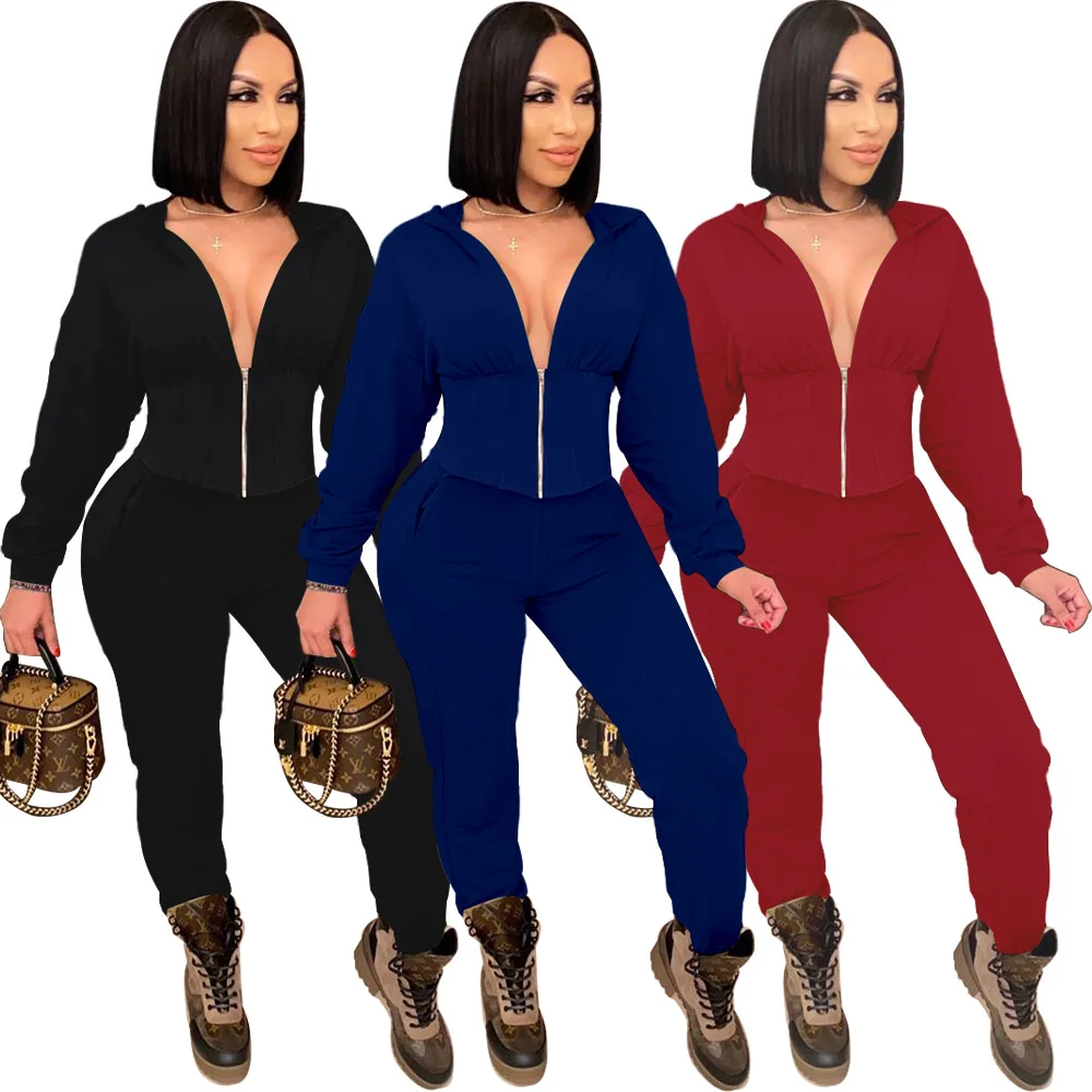 

Women's autumn and winter new pleated top two-piece suit hoodie V-neck zipper suit