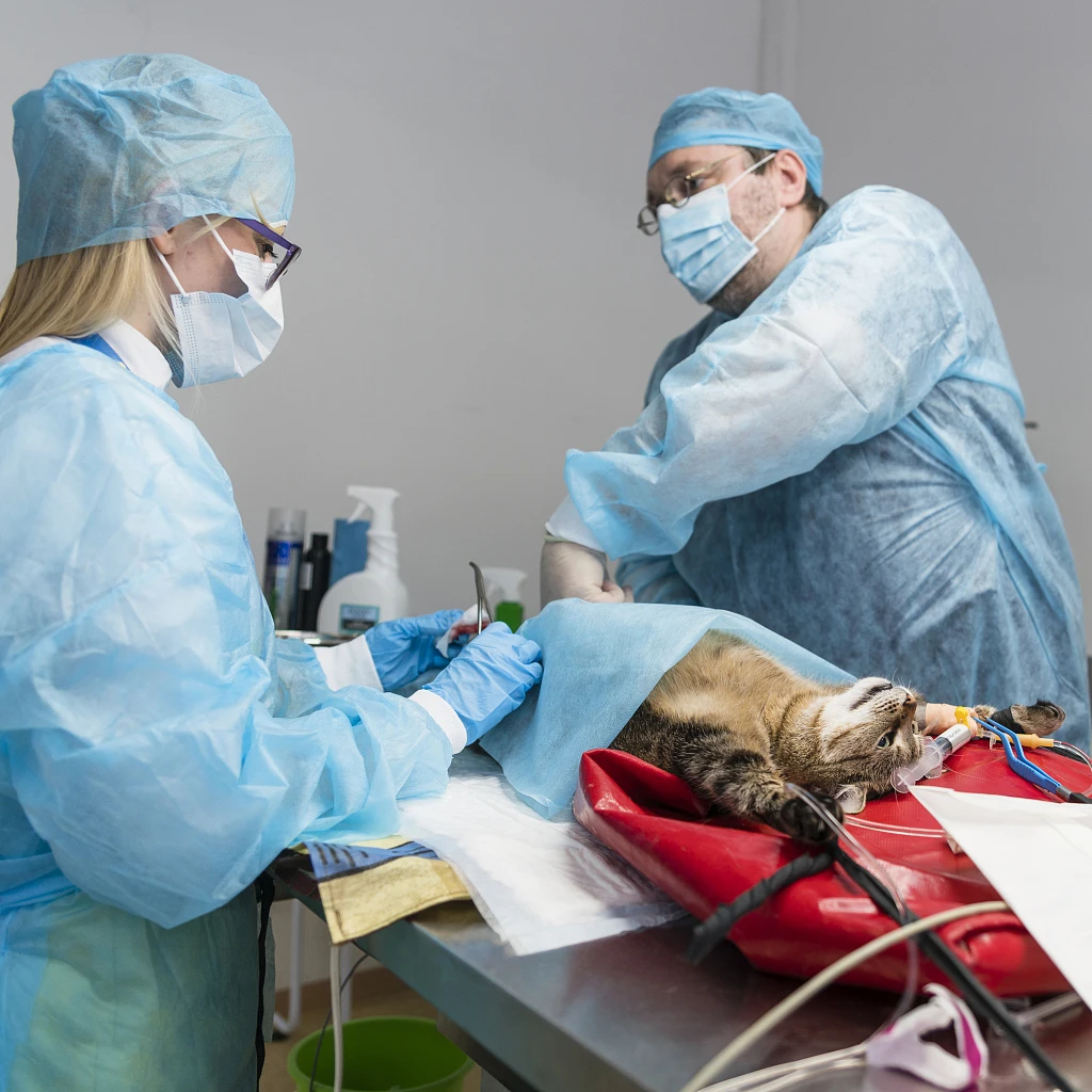 Veterinarian Equipment Surgical Drapes Veterinary Drape Buy