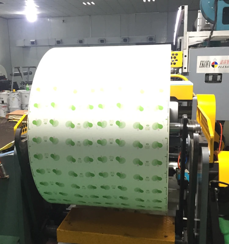 
100% Disposable Biodegradable PE Paper Roll/Sheet/Fan Offset/Flexo Printing Pe Coated Food Packaging Paper 