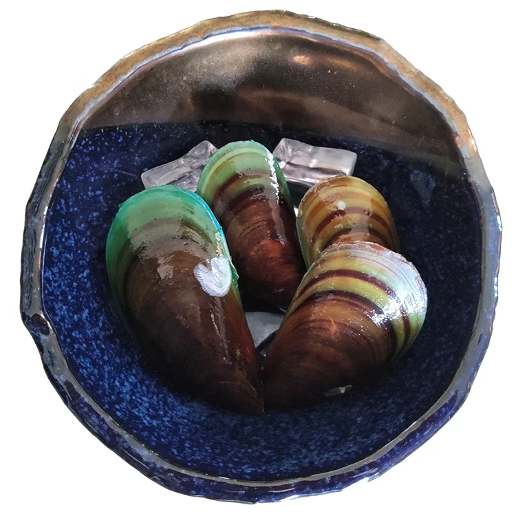 
Factory Wholesale Frozen Green Mussel With Shell 