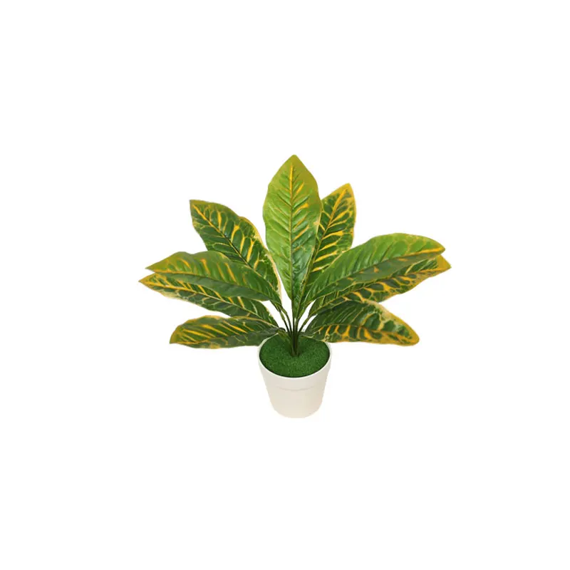 

Indoor and Outdoor Decoration High-quality Plastic Artificial Plant Bonsai