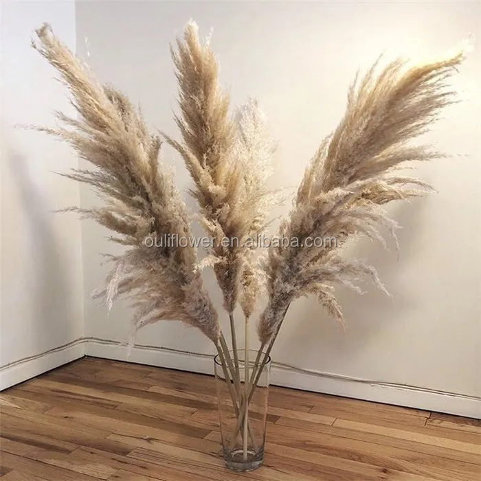 

K-0326 Hot Sale Dry Pampas Grass Dried Flowers Plants Pampass Grass Bouquet Wedding Decor