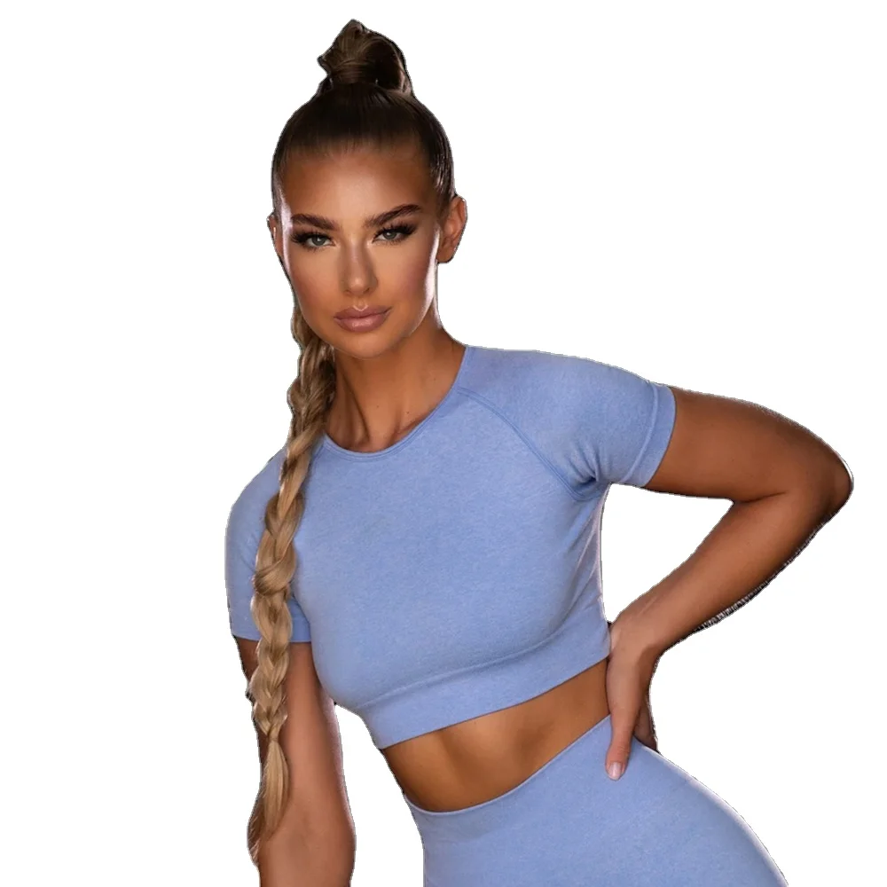 

Fitness Apparel Womens Seamless Wholesale Athletic Short Workout Sports Active Gym Wear Clothes Sportswear Yoga Top, Colorful